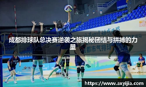 成都排球队总决赛逆袭之旅揭秘团结与拼搏的力量