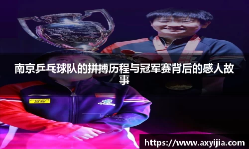 南京乒乓球队的拼搏历程与冠军赛背后的感人故事