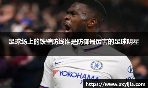 足球场上的铁壁防线谁是防御最厉害的足球明星